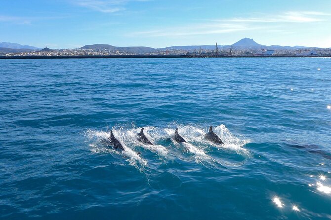 Luxury Sailing, Snorkel and Lunch Cruise Shared - Meeting and Pickup Details
