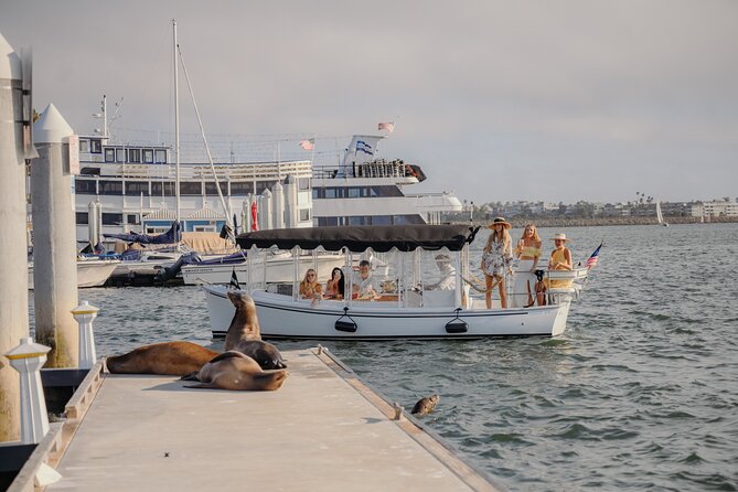 Luxury Shared E-Boat Cruise With Wine, Charcuterie & Sea Lions Spotting - Connecting With Nature on the Water