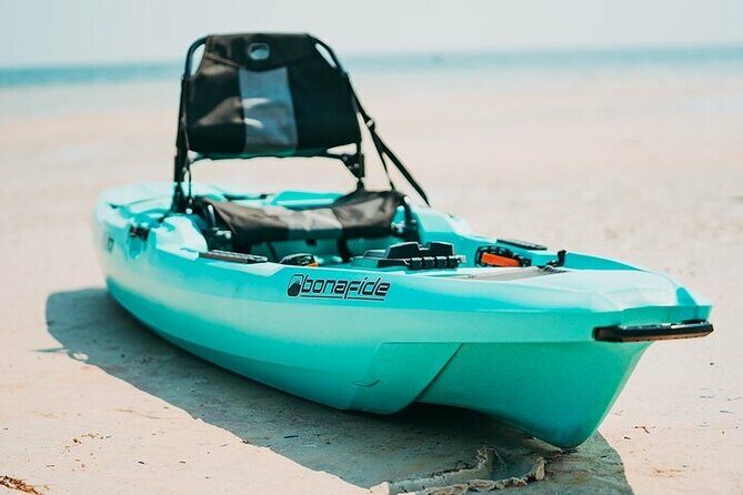 Luxury Single Kayak Tour To An Island Off Clearwater Beach! - Authentic Reviews from Past Participants
