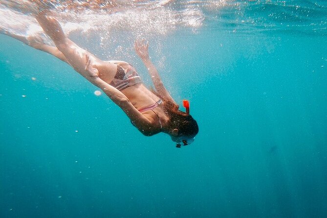 Luxury Snorkeling Tour in Cabo San Lucas - Guest Experiences and Testimonials