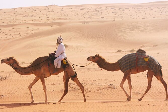 Luxury Sunset Desert Safari - Accessibility and Health Recommendations