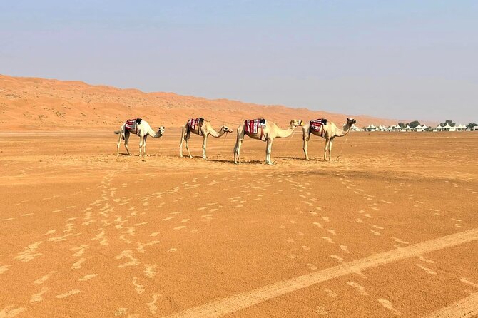 Luxury Sunset Desert Safari - Participant Limit