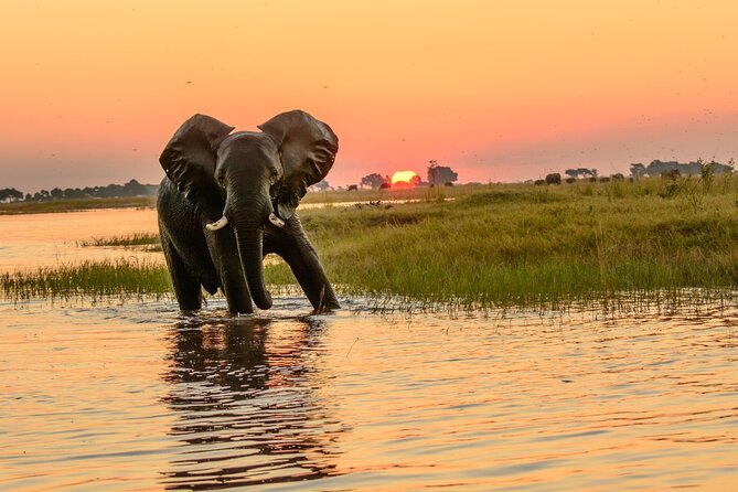 Luxury Sunset River Cruise on the Zambezi - Booking Details