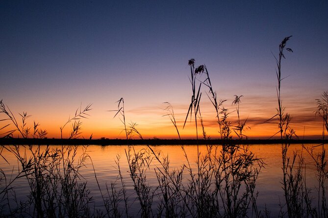 Luxury Sunset River Cruise on the Zambezi - Ratings and Reviews