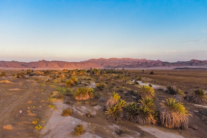 Luxury Sunset Safari to the Oasis & Starlit Dinner From Hurghada - Key Points
