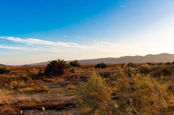 Luxury Sunset Safari to the Oasis & Starlit Dinner From Hurghada - Destination: The Oasis and Wadi Melaha