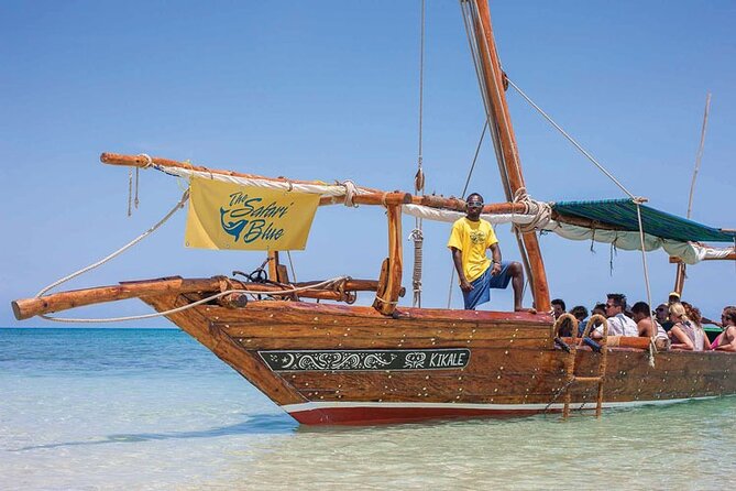 Luxury Swimming With DOLPHINS in MNEMBA and LUNCH - Key Points