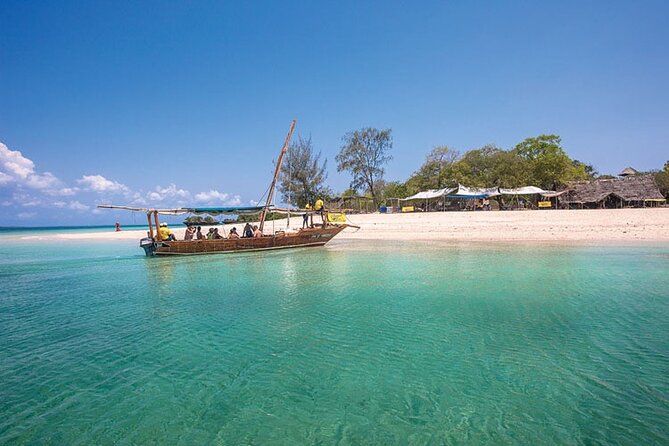Luxury Swimming With DOLPHINS in MNEMBA and LUNCH - Location and Accessibility
