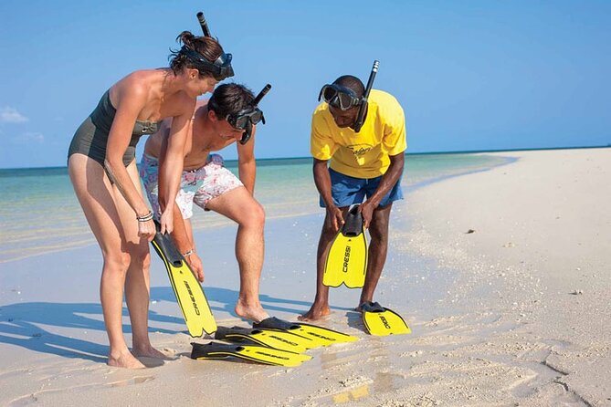 Luxury Swimming With DOLPHINS in MNEMBA and LUNCH - Traveler Reviews and Ratings