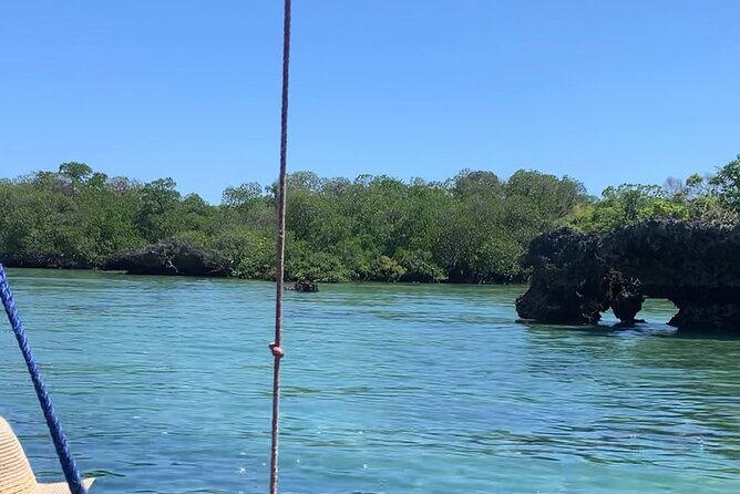 Luxury Swimming With DOLPHINS in MNEMBA and LUNCH - Meeting and Pickup
