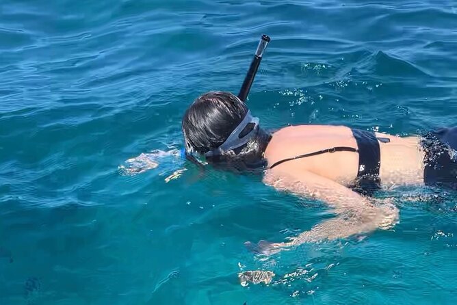 Luxury Swimming With DOLPHINS in MNEMBA and LUNCH - What to Bring and Wear