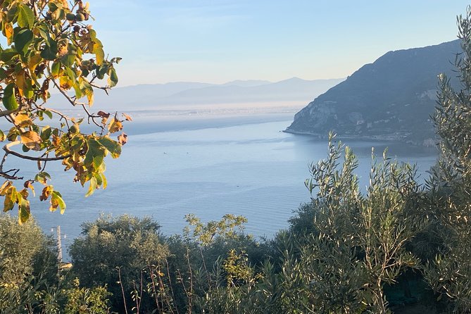 Luxury Tour Amalfi Coast by Van Mercedes - Highlights of the Amalfi Coast
