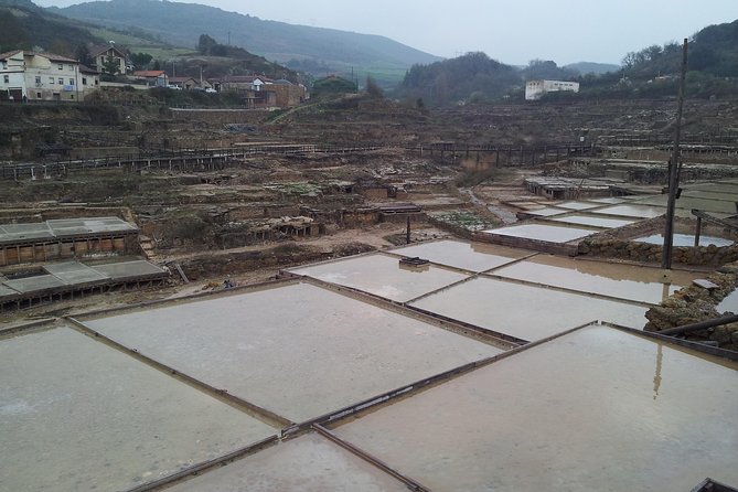 Luxury Tour By Alava (Vitoria-Gasteiz and Salinas De Añana) - Pickup and Meeting Details