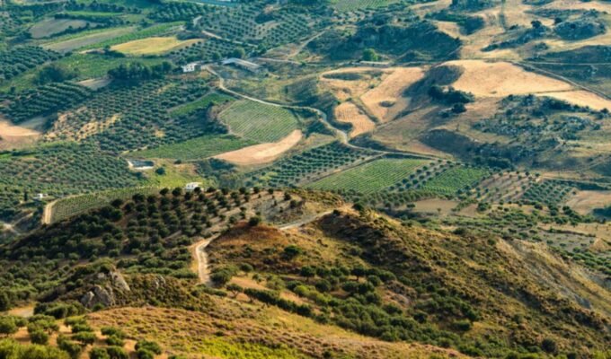 Luxury Tour From Chania: Knosos Palace & Museum With Winery - Private Chauffeured Vehicle