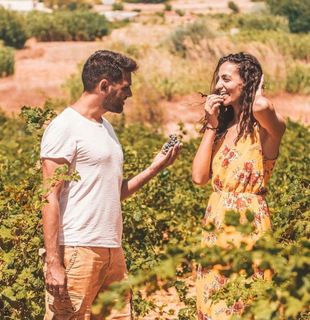 Luxury Tour From Chania: Knosos Palace & Museum With Winery - Concierge Support
