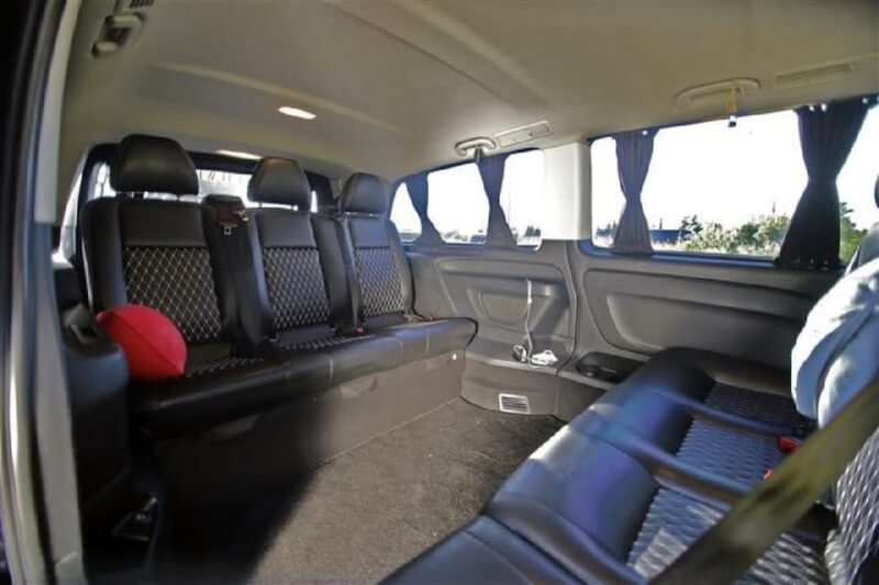Luxury Transfer From Dalaman Airport to Fethiye Area - Airport Reception