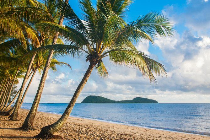 Luxury Van, Private Transfer, Cairns Airport - Palm Cove. - Detailed Breakdown of the Experience