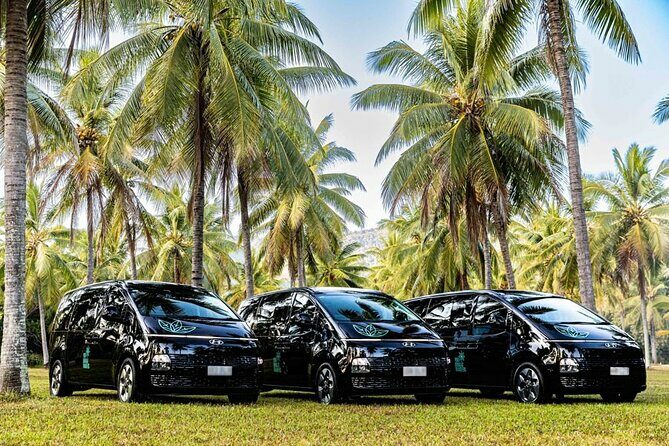 Luxury Van, Private Transfer, Port Douglas - Cairns - Final Thoughts: Is This Transfer Worth It?