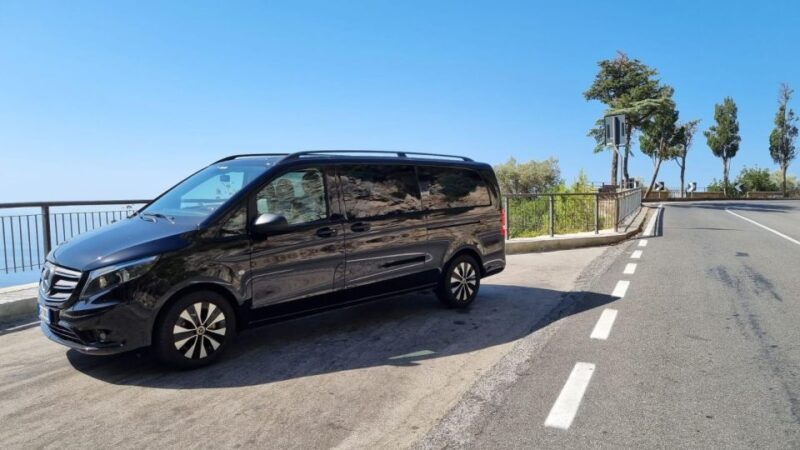 Luxury Van Transfers: Naples Airport - Key Points