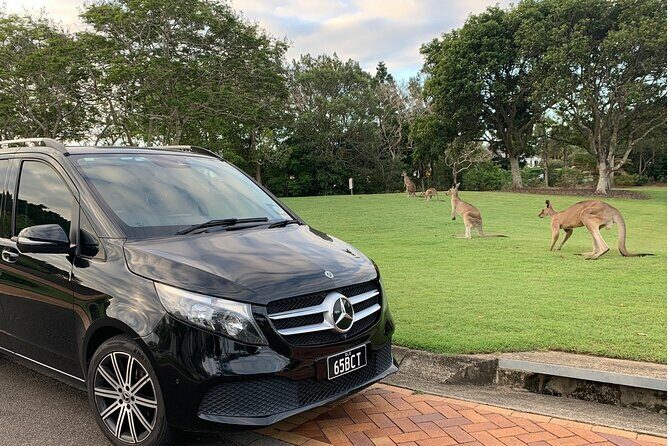 Luxury Vehicle Transfers Gold Coast Airport to Gold Coast Hotels - Exploring Gold Coast in Style: A Deep Dive into the Luxury Vehicle Transfers from the Airport