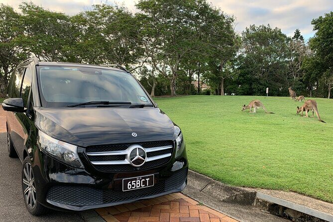 Luxury Vehicle Transfers Gold Coast Airport to Gold Coast Hotels - Who Will Benefit Most?