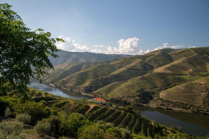 Luxury Wine Experience - Boutique Wineries Exploration
