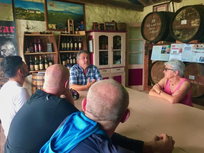 Luxury Wine Tasting at the Czar Pico Winery - Preparation and Meeting
