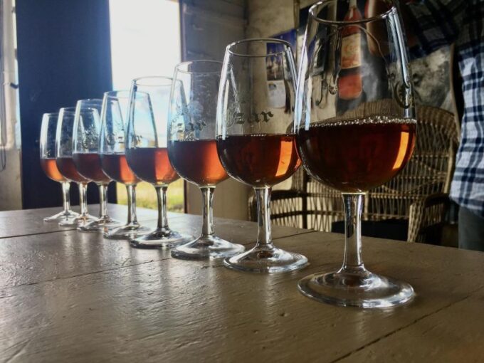 Luxury Wine Tasting at the Czar Pico Winery - Scenic Drives