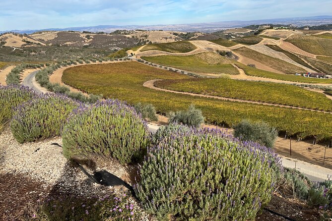 Luxury Wine Tour in Paso Robles, With a Winemaker - Customer Reviews and Feedback