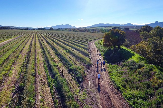 Luxury Wine Tour With Lunch - Explore Award-Winning Wineries