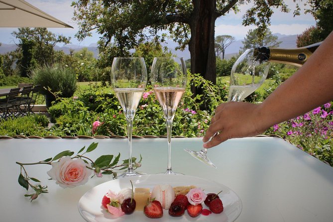 Luxury Wine Tour With Lunch - Lunch in the Winelands