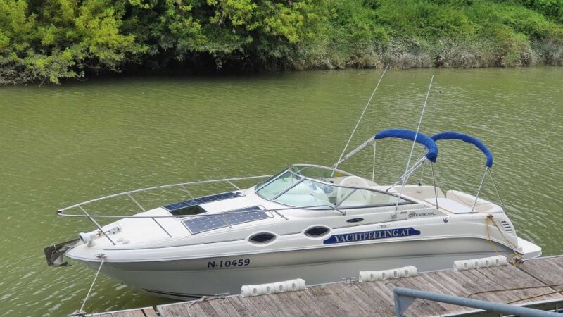 Luxury Yacht Experience on Danube in Vienna - Accommodations and Capacity