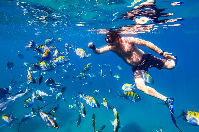 Luxury Yacht & Snorkeling - Review Highlights and Accolades