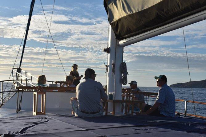 Luxury Yacht Snorkeling & Lunch Cruise From Cabo San Lucas - Guest Feedback and Reviews