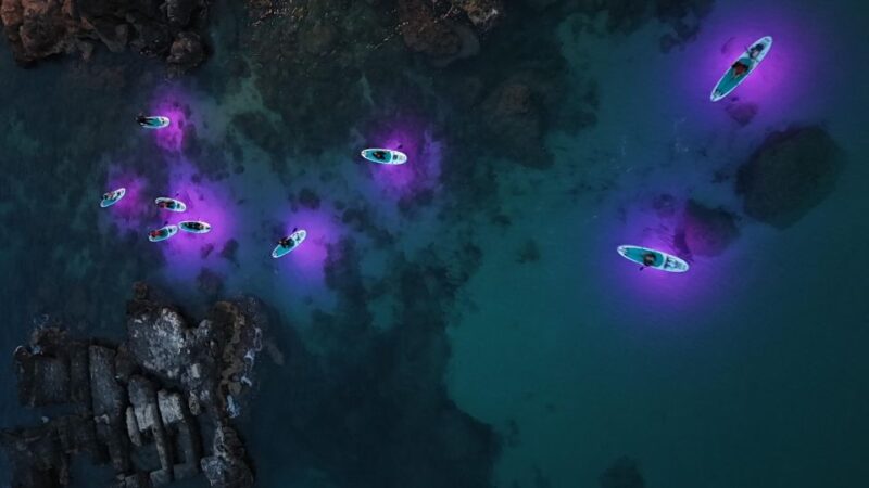 LUZ Sunset in SUP With Aperitif and Light Show - Experience Highlights
