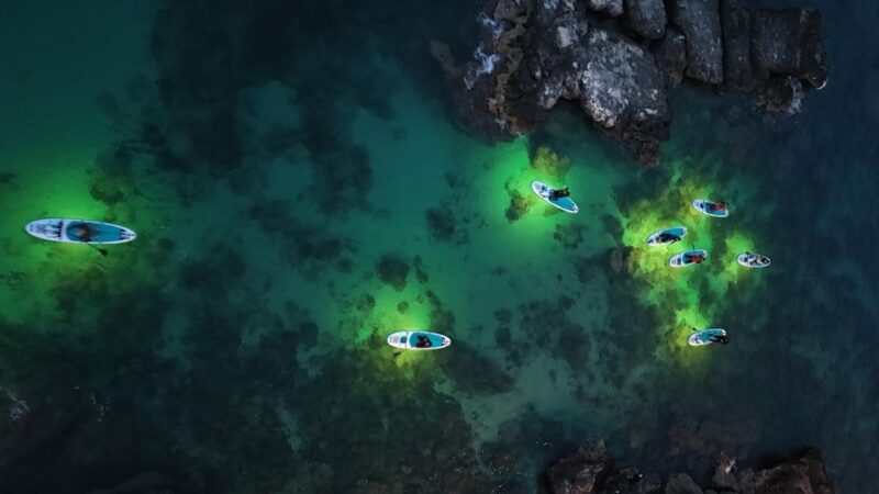 LUZ Sunset in SUP With Aperitif and Light Show - Customer Reviews