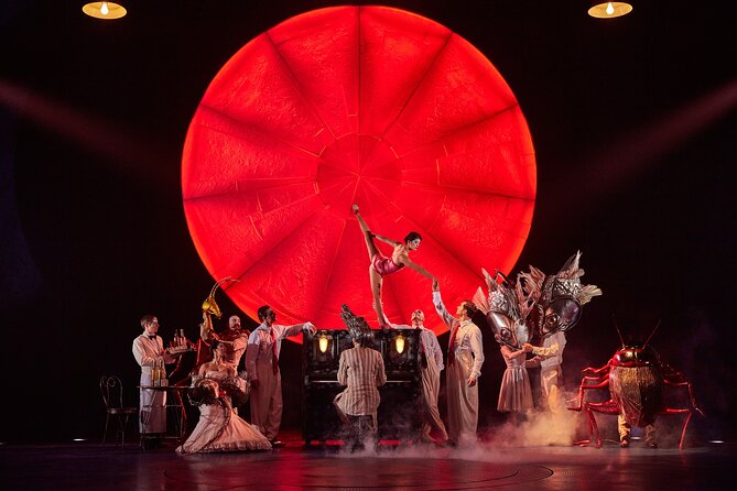 Luzia by Cirque Du Soleil: Under the Big Top in New York City - Convenient Transportation Services