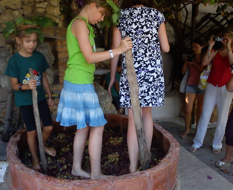 Lychnostatis Open Air Museum : Grape-Feast Every Wednesday - Activities and Experiences