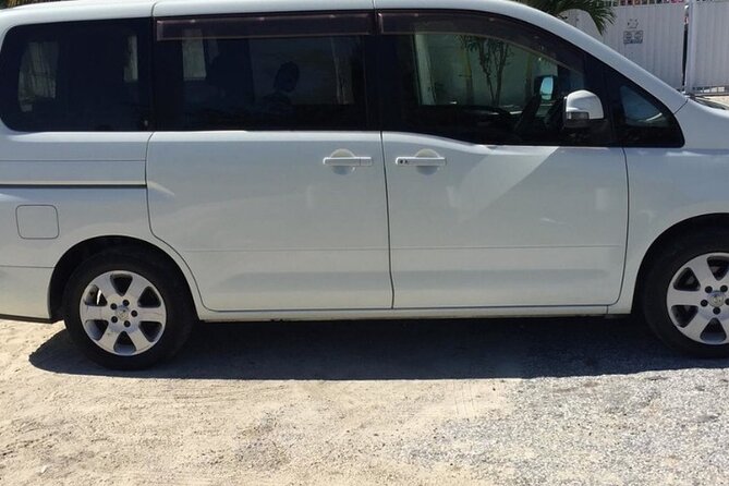 Lynden Pindling International Airport One-Way Private Transfer - Services Included in the Transfer
