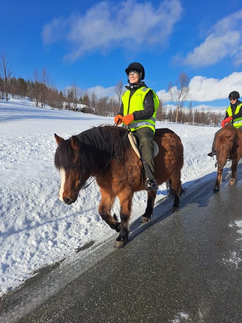 Lyngen Horseback Winter Riding Experience - Itinerary Details