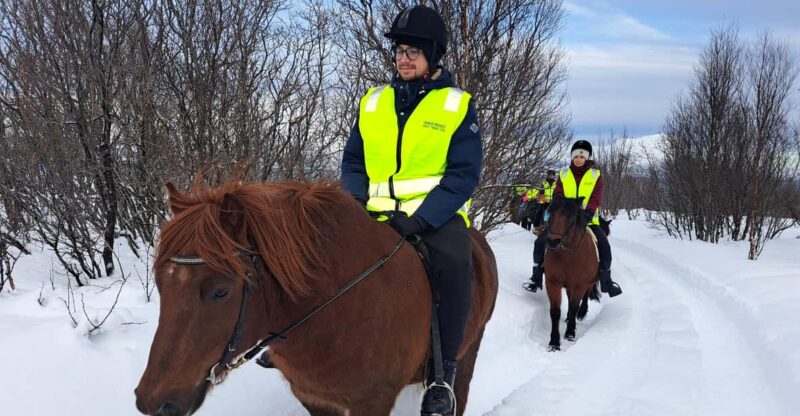 Lyngen Horseback Winter Riding Experience - Horse Riding Experience