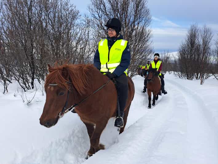 Lyngen Horseback Winter Riding Experience - Participant Information