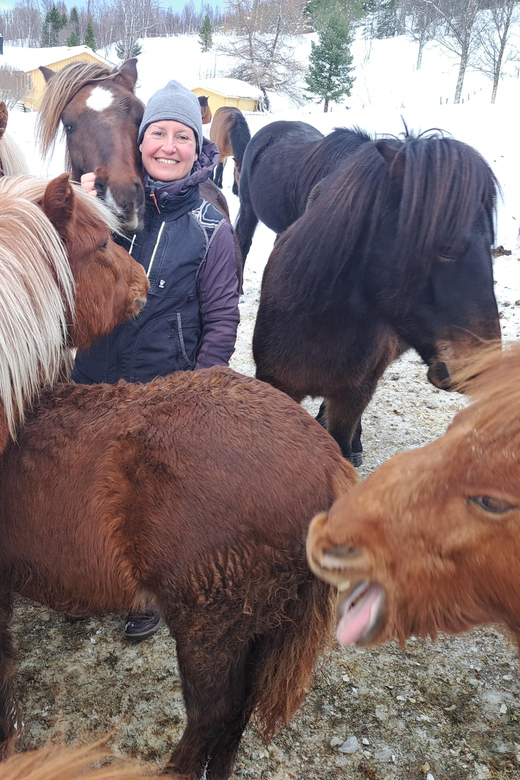 Lyngen Horseback Winter Riding Experience - Preparation and Safety