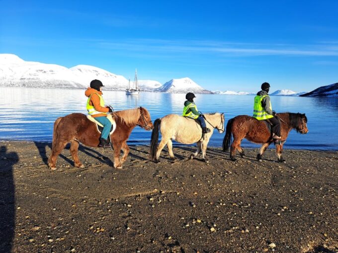 Lyngen Horseback Winter Riding Experience - Exploring Lyngen Horses