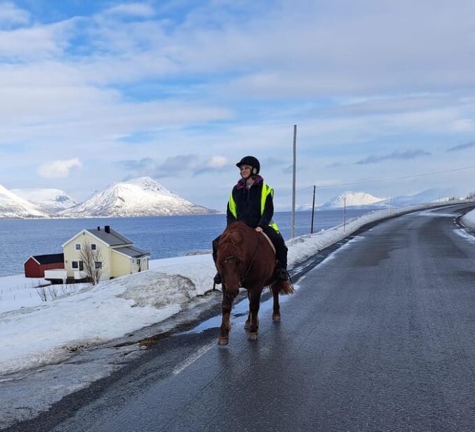 Lyngen Horseback Winter Riding Experience - Taking in Arctic Nature