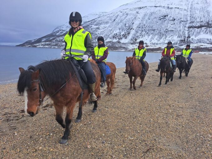 Lyngen Horseback Winter Riding Experience - Post-Ride Refreshments