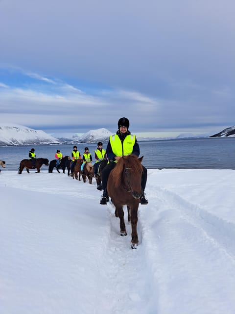 Lyngen Horseback Winter Riding Experience - Frequently Asked Questions