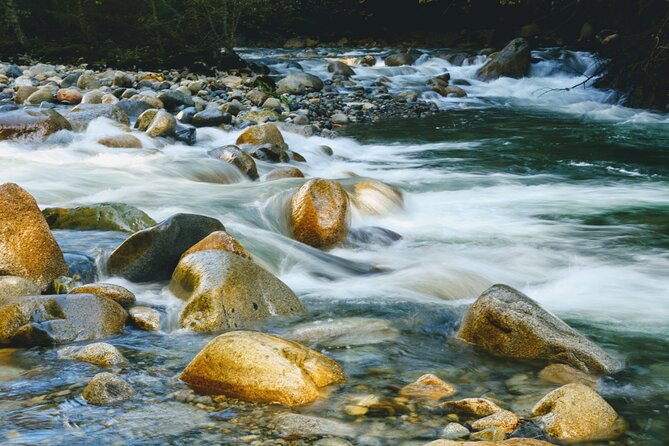 Lynn Canyon Suspension Bridge & Park Photography - Scheduling