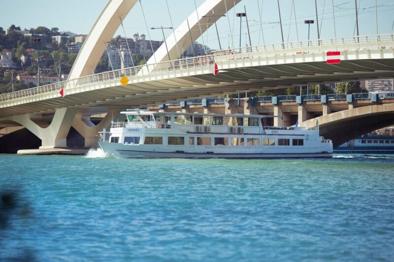 Lyon 2.5-Hour Lunch Cruise - Dining Experience