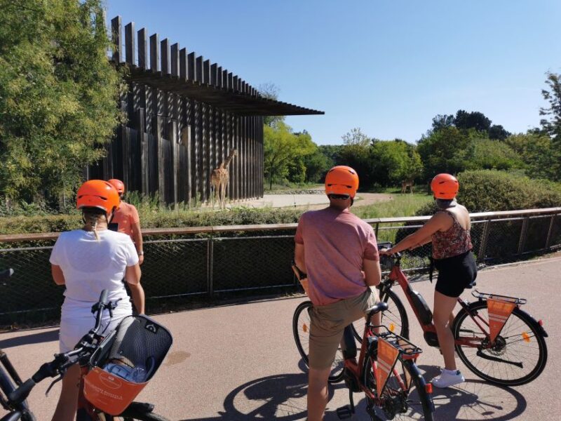 Lyon: 2-Hour Electric Bike Tour With a Local Guide - Key Points